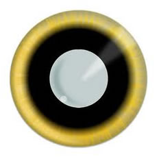 Gothic Contact Lenses for Eye Defect Correction and Fashion
